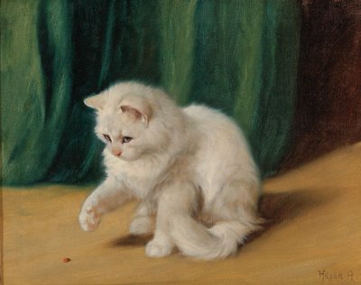 Katze mit Marienkäfer von Arthur Heyer